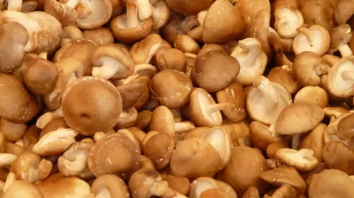 Health point: Shiitake mushrooms.